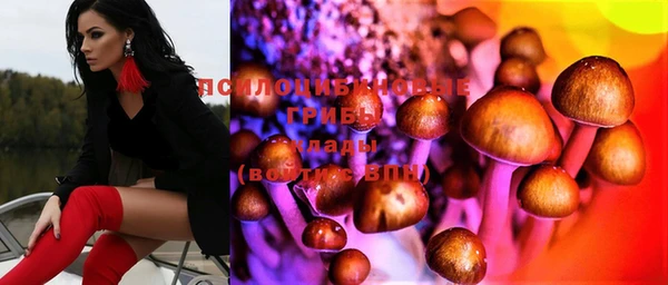молекула духа Волосово
