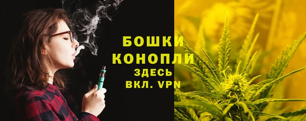 эйфоретик Верхний Тагил