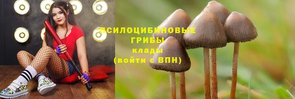 MESCALINE Волоколамск